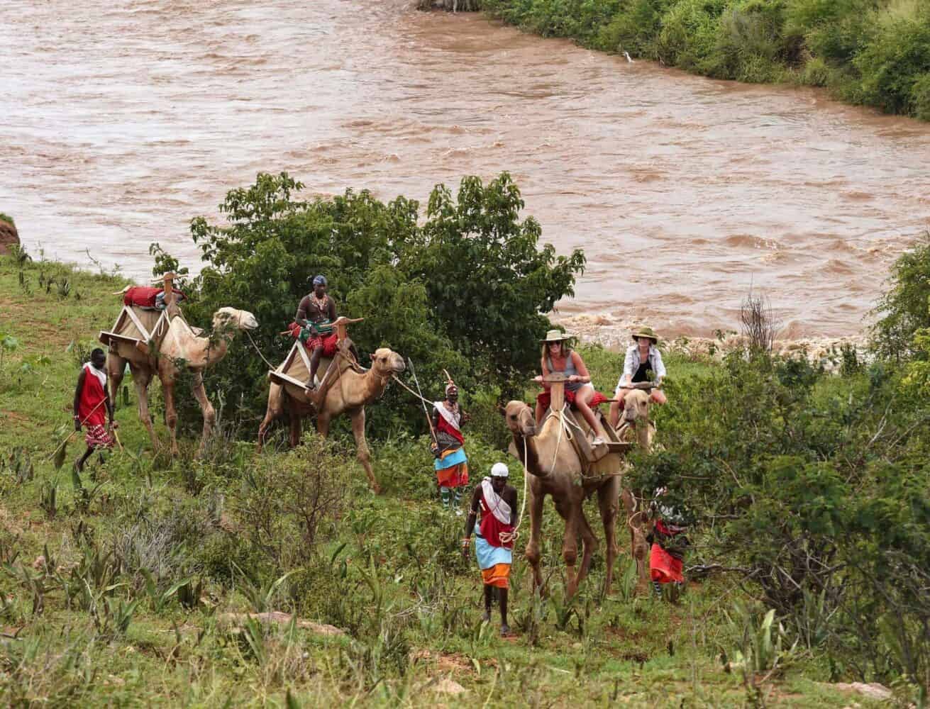 Camel Safaris in Kenya