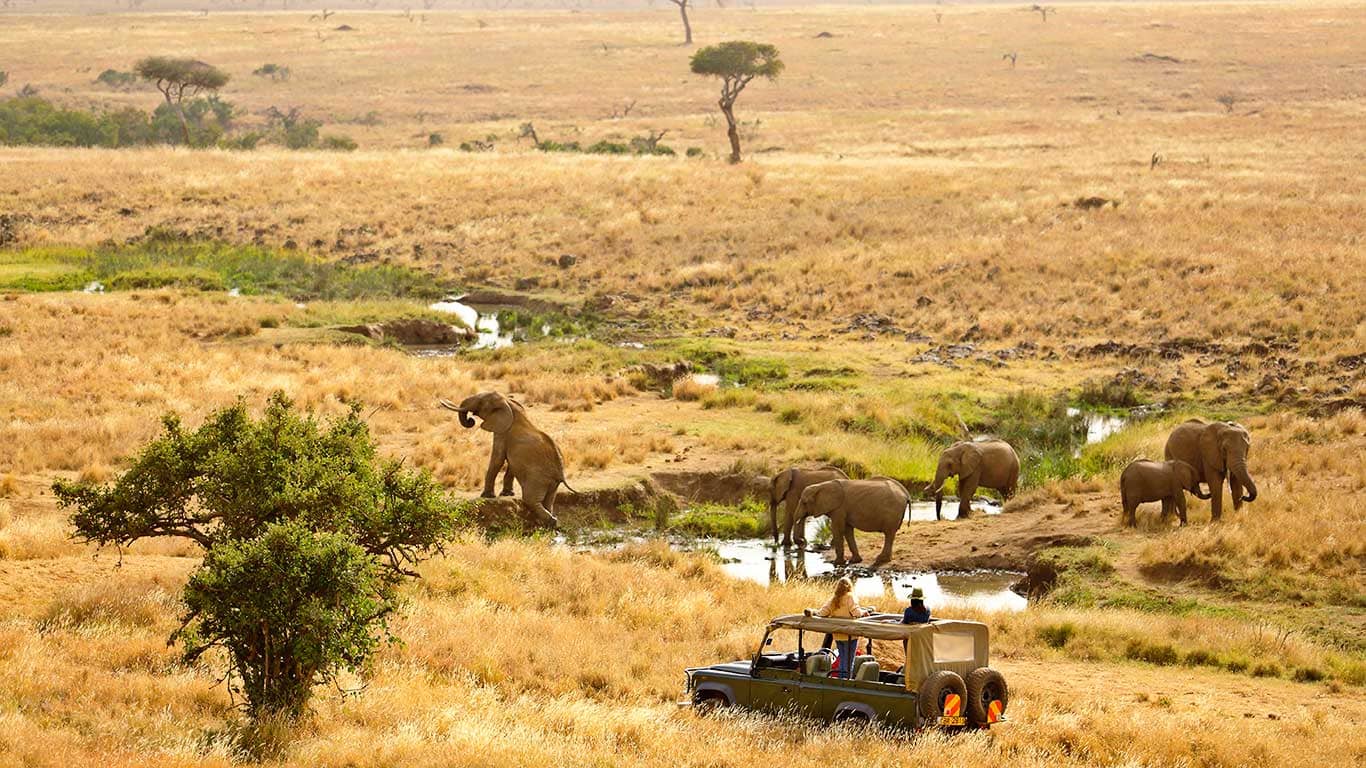 Activities includes Game drive