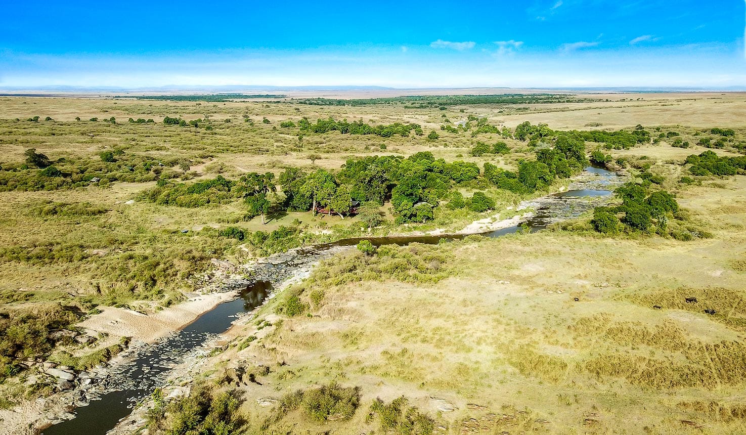 Asili africa rekero Camp Masai Mara Kenya