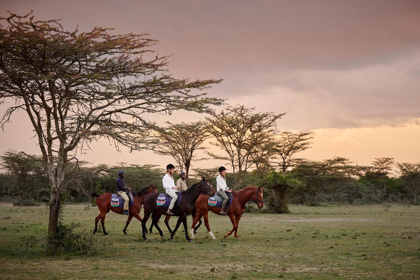 Sanctuary Lodges Kenya Safari