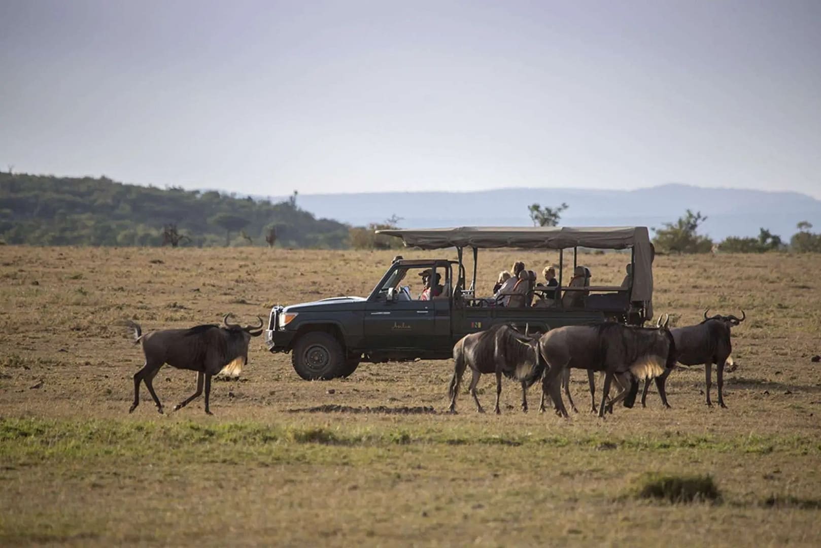 encounter mara safari activities