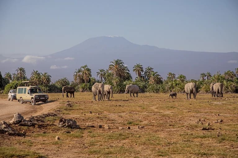 elephat gorge camp amboseli kenya