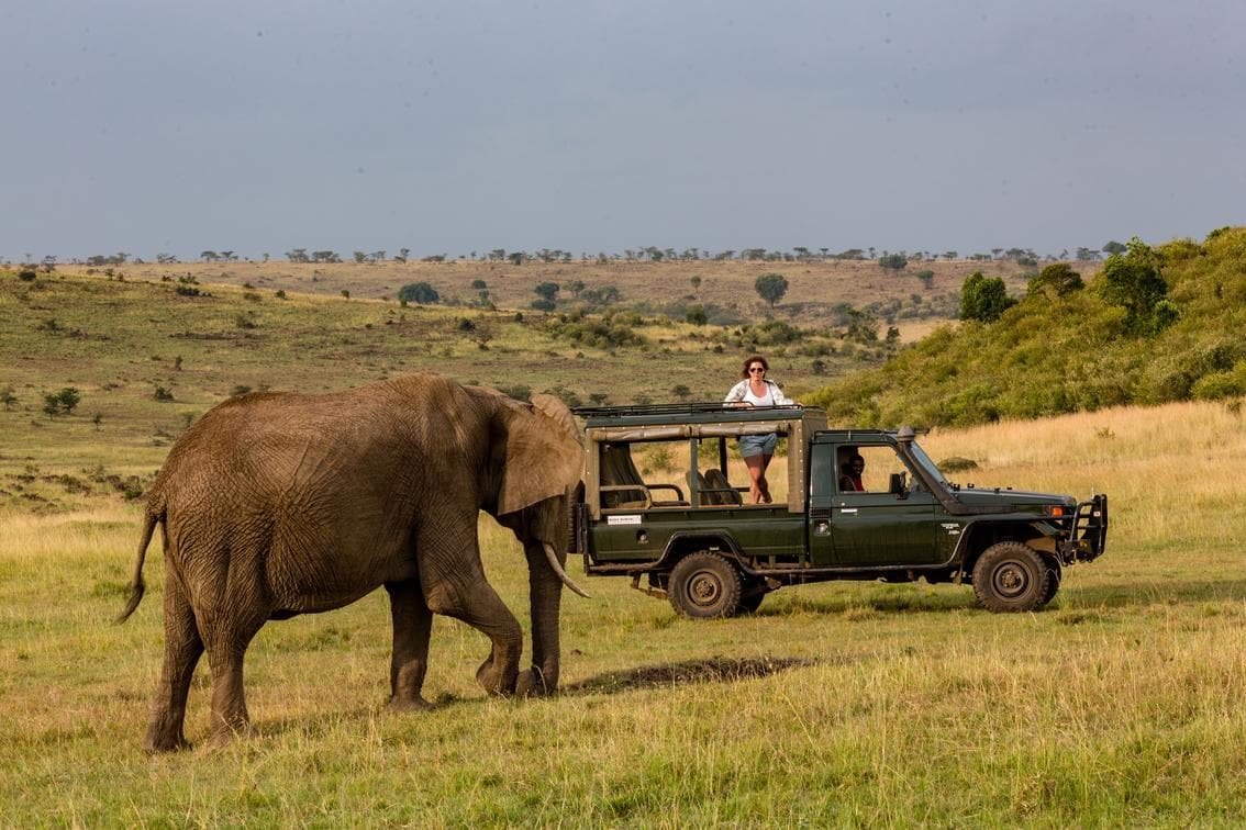 We offer unlimited game drives in custom designed 4x4 safari vehicles, with open sides, camera stands and roof hatches. These vehicles are designed to optimize game viewing and photography.