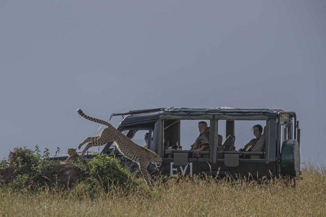 safari activities in Masai Mara