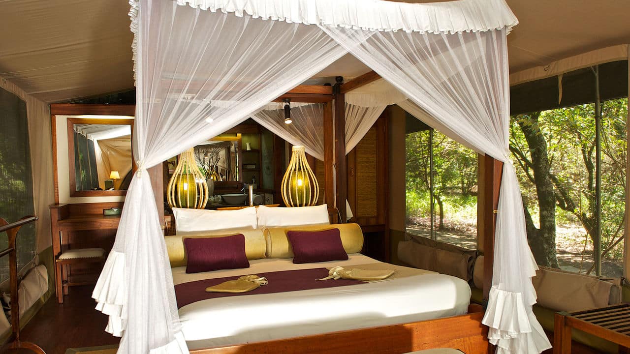 Luxury tent accommodation