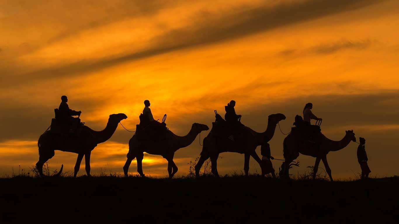 camel riding safaris in loisaba