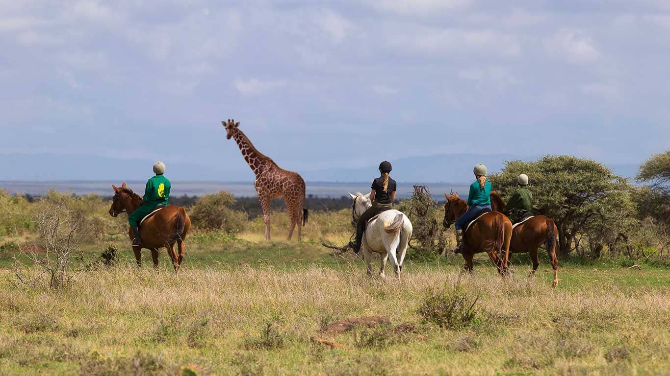 Loisaba safari activities=-horse riding
