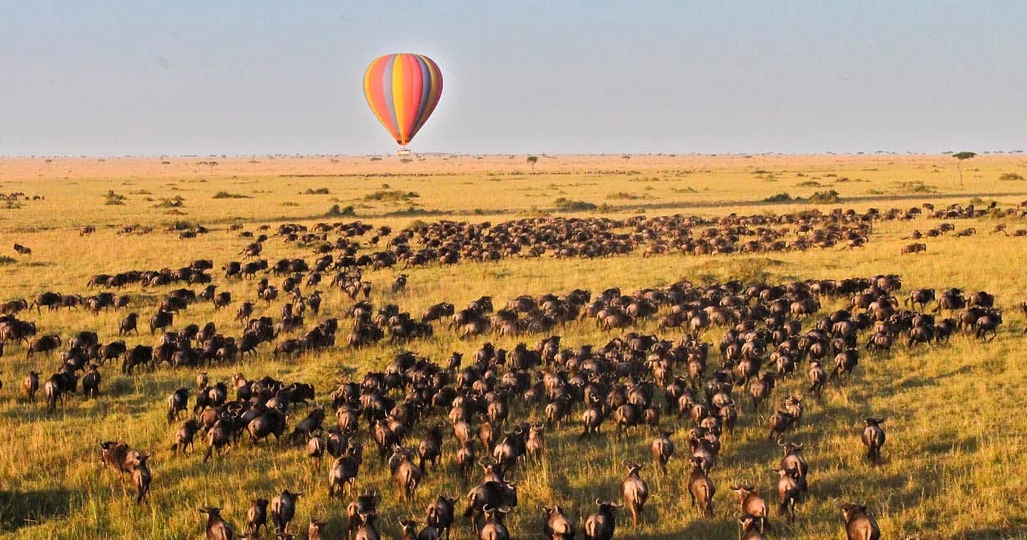 Hot Air Balloon in Masai Mara