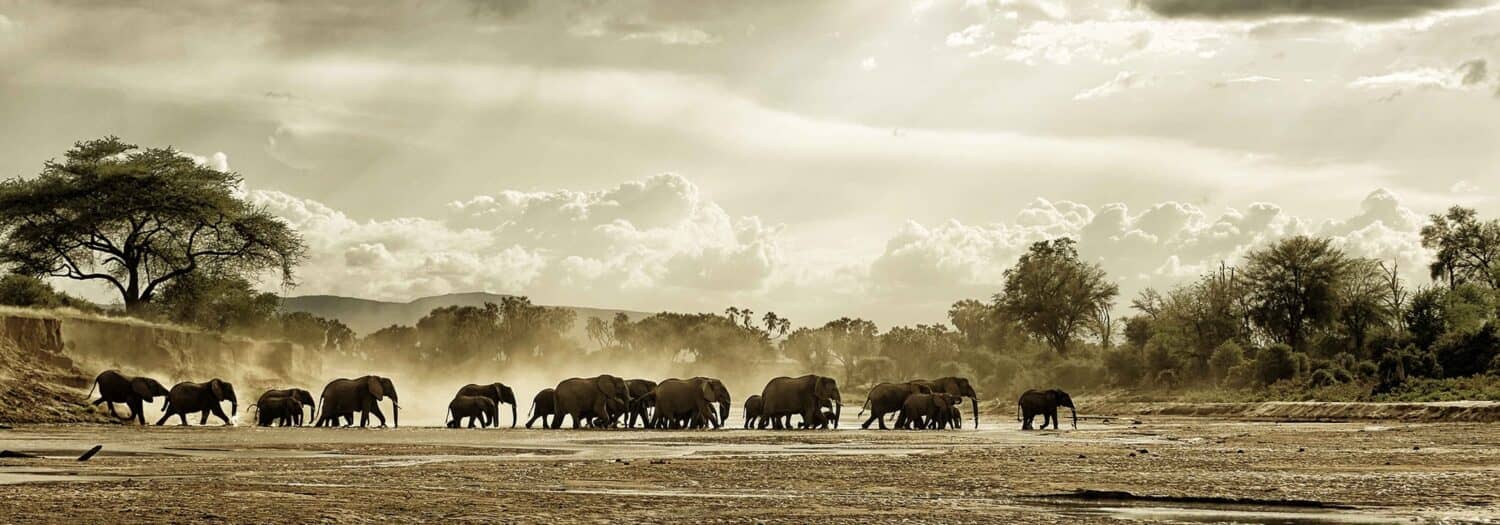 Safari activities at Samburu