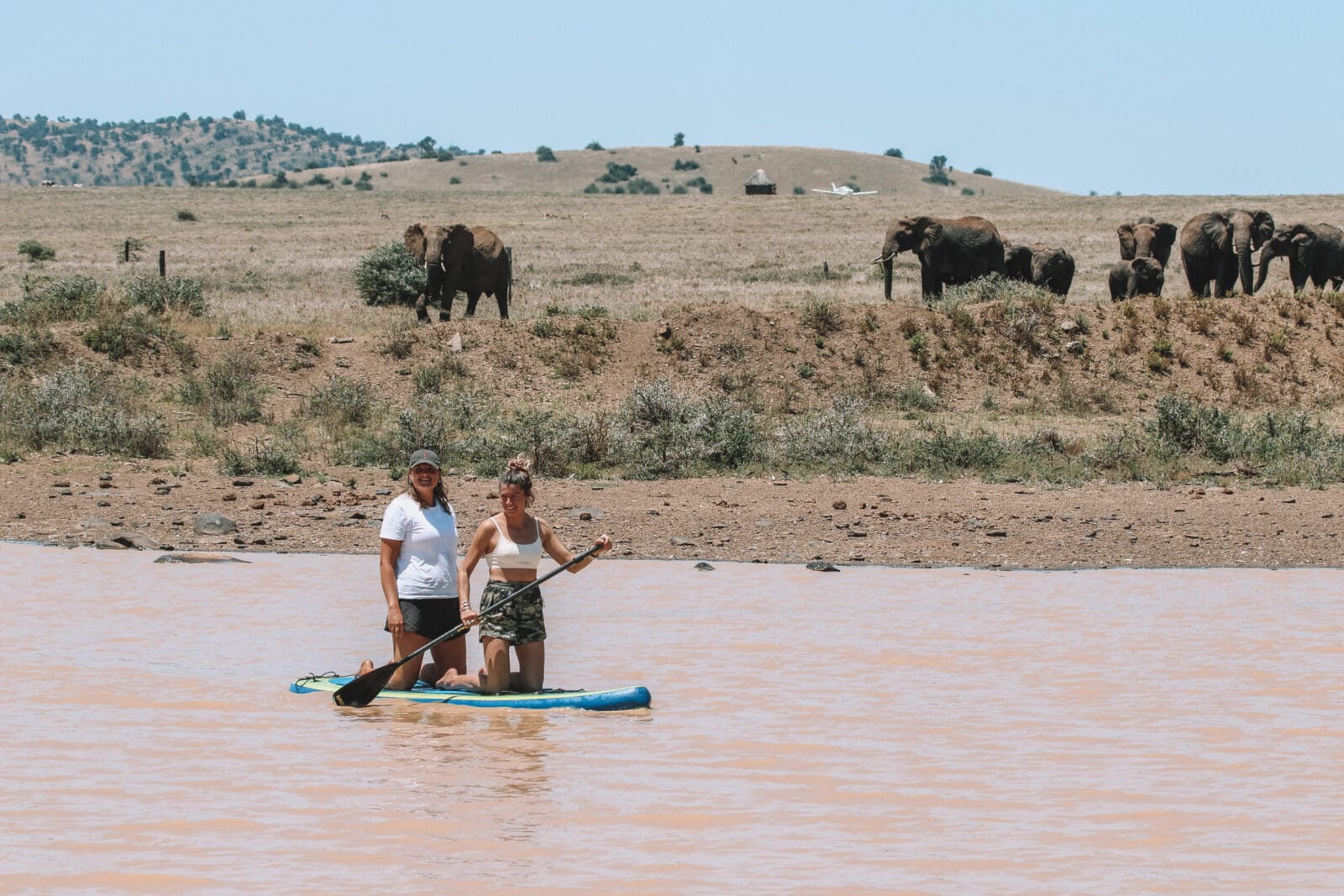 safari activities