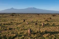 Angama-Amboseli-Amboseli-National-Park-1