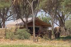 1-elephant-bedroom-camp