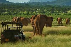 1_Elephant-Watch-Camp-Game-Drive