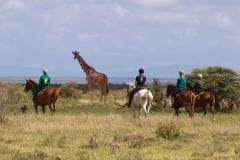 Elewana-Loisaba-Tented-Camp-activities-horse-riding-in-the-conservancy-Mario-Moreno-3