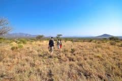 Walking-safaris-1024x659