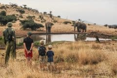 Lewa-house-walking-safaris
