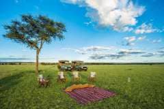 Kenya_Masai-Mara_Great-Plains-Mara-Plains_Bush-Drinks