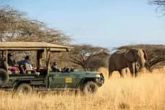 great-plains-ol-donyo-lodge-safari-with-elephant-1536x1024-1