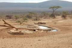 Saruni-Samburu-waterhole