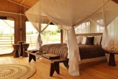 Serengeti-Bushtops-suite