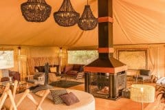serengeti-bushtops-camp1