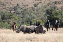 Sirai-house-Borana-Ranch-horse-riding-safaris