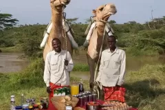 Sosian-bush-breakfast-with-camels