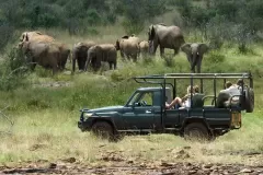 Sosian-game-drive-with-elephants-2