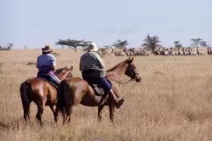 Sosian-horse-riding-on-the-plains-with-zebra