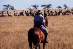 riding-on-the-plains