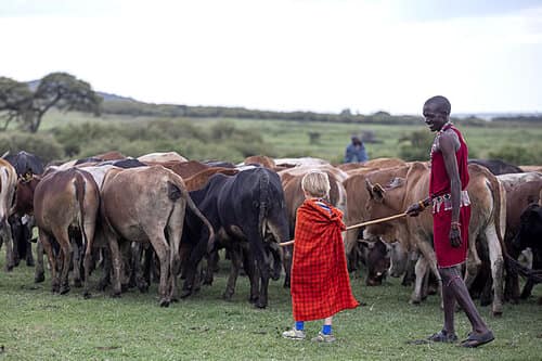 Conservation safari in Kenya