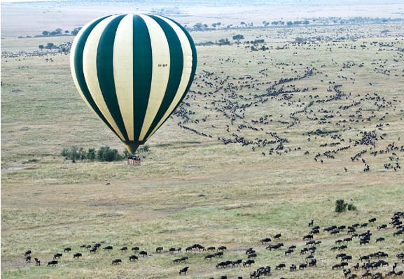 hot air balloon safaris in masai mara