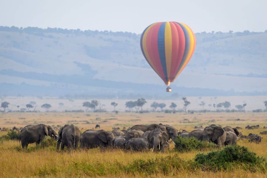 hot Air Balloon Safaris in Masai Mara